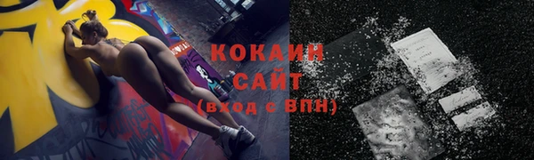 spice Богородицк