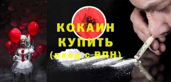 spice Богородицк