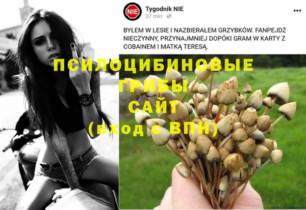 гашиш Богородск