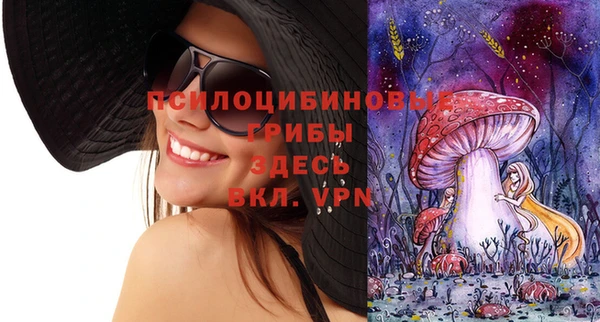 spice Богородицк