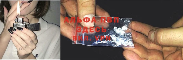 spice Богородицк