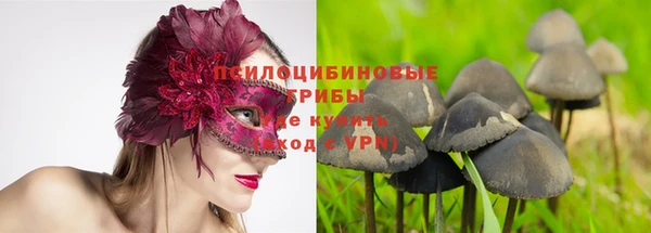 амф Богданович