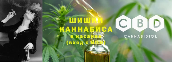 spice Богородицк