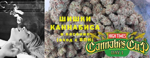 spice Богородицк