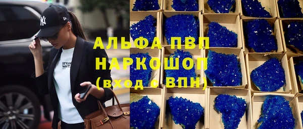 spice Богородицк
