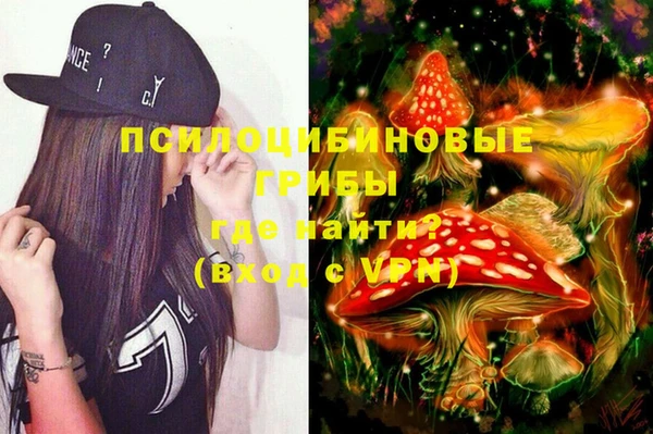 амф Богданович