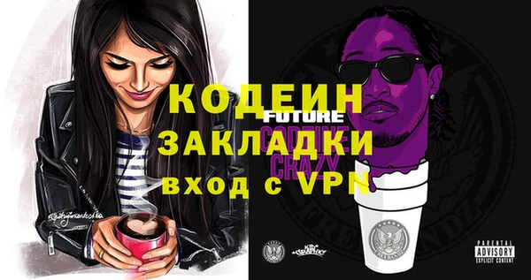 spice Богородицк