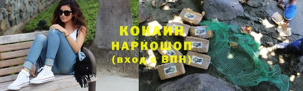 spice Богородицк