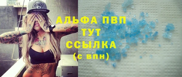 spice Богородицк